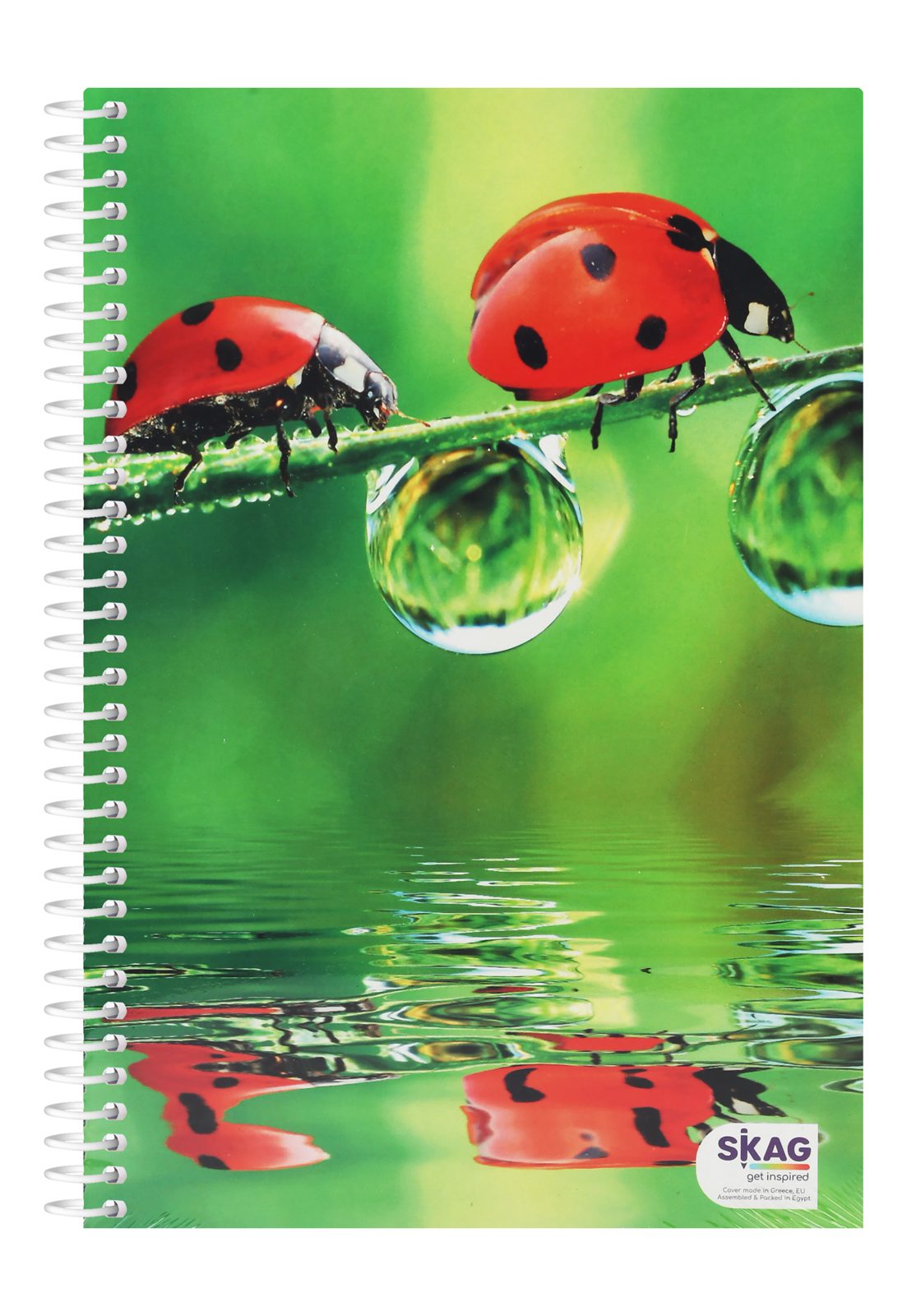 Ruled Notebook with 2 Dividers – 100 Sheets, 70 gsm