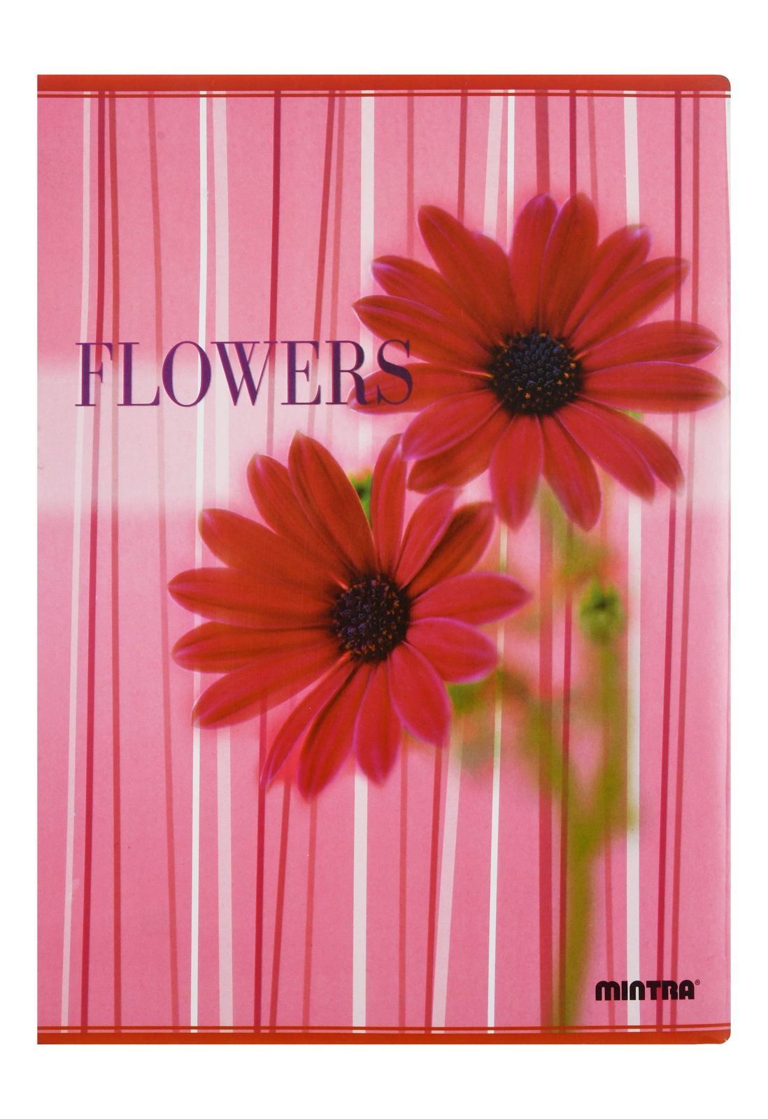 Mintra Notebook A4 – 40 Sheets