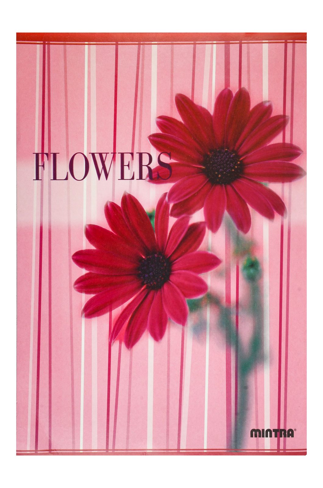 Mintra English Notebook A4 – 100 Sheets