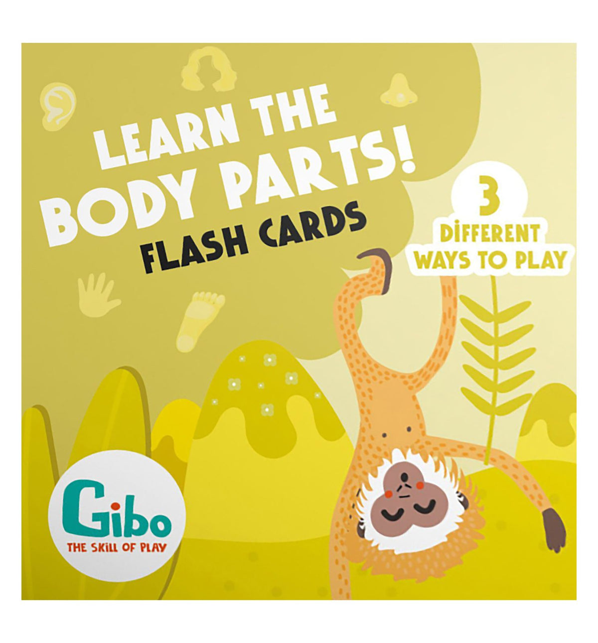 Jaypo Flash Cards – Learn Body Parts