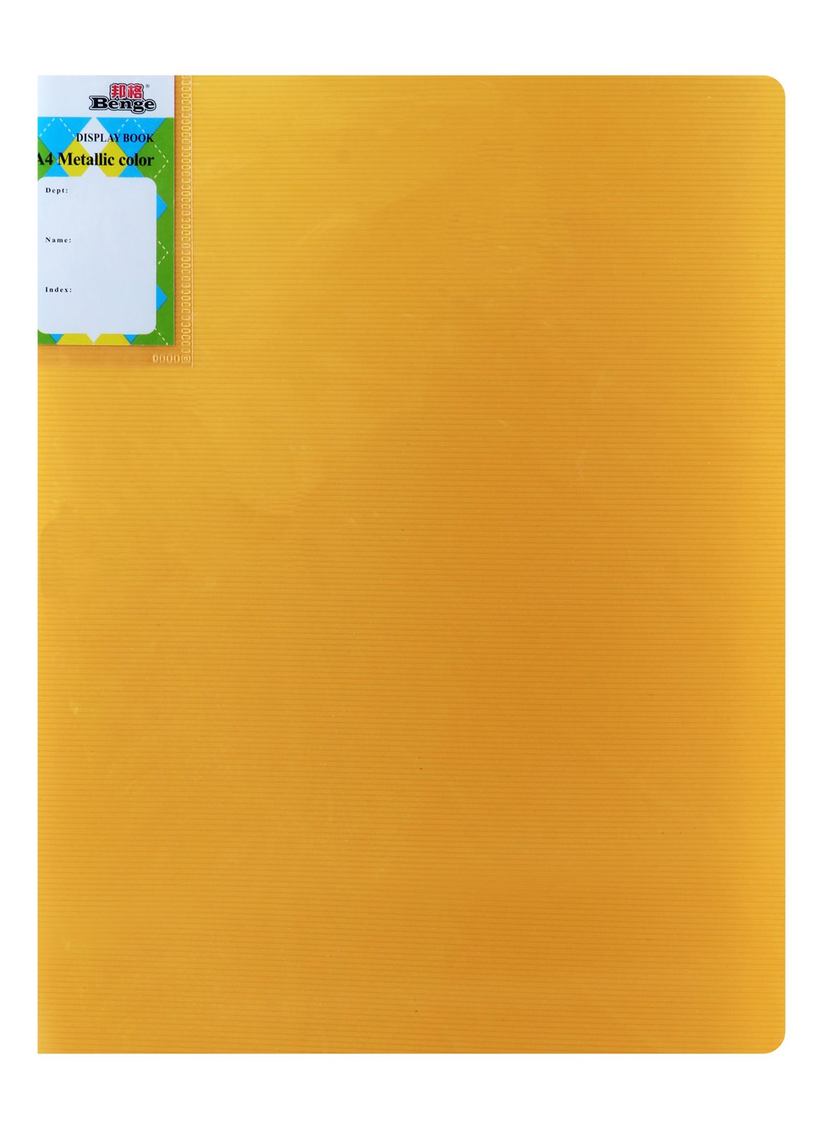 Bungee Metallic Display Book – 60 Pockets