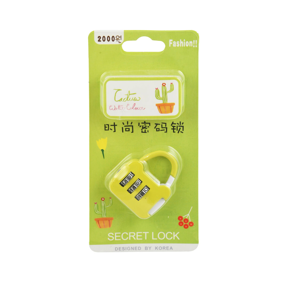 Secret Lock Toy