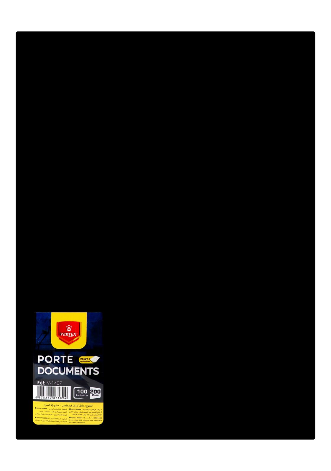 Vertex Display Book – 100 Pockets, 6 Colors, V-1407
