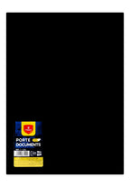 Vertex Display Book – 120 Pockets, 6 Colors, V-1408