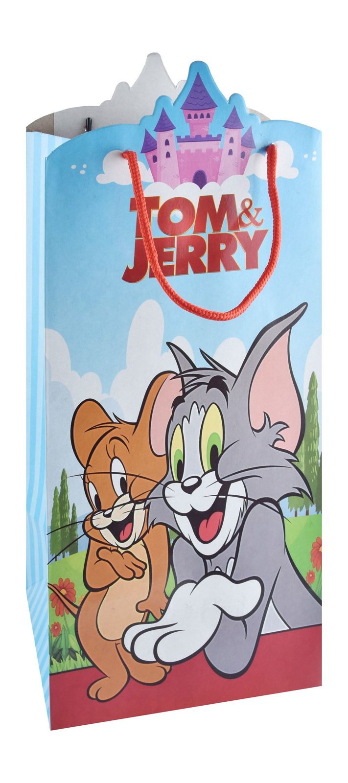 Disney Gift Bags – Tall