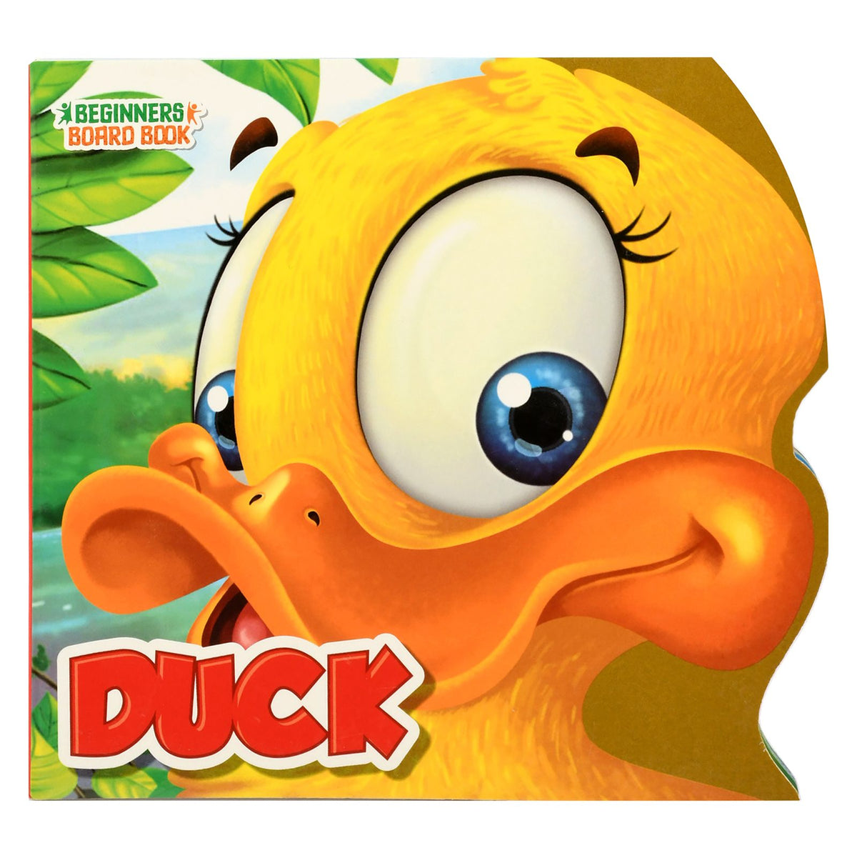 Duck – Children's Animal Book