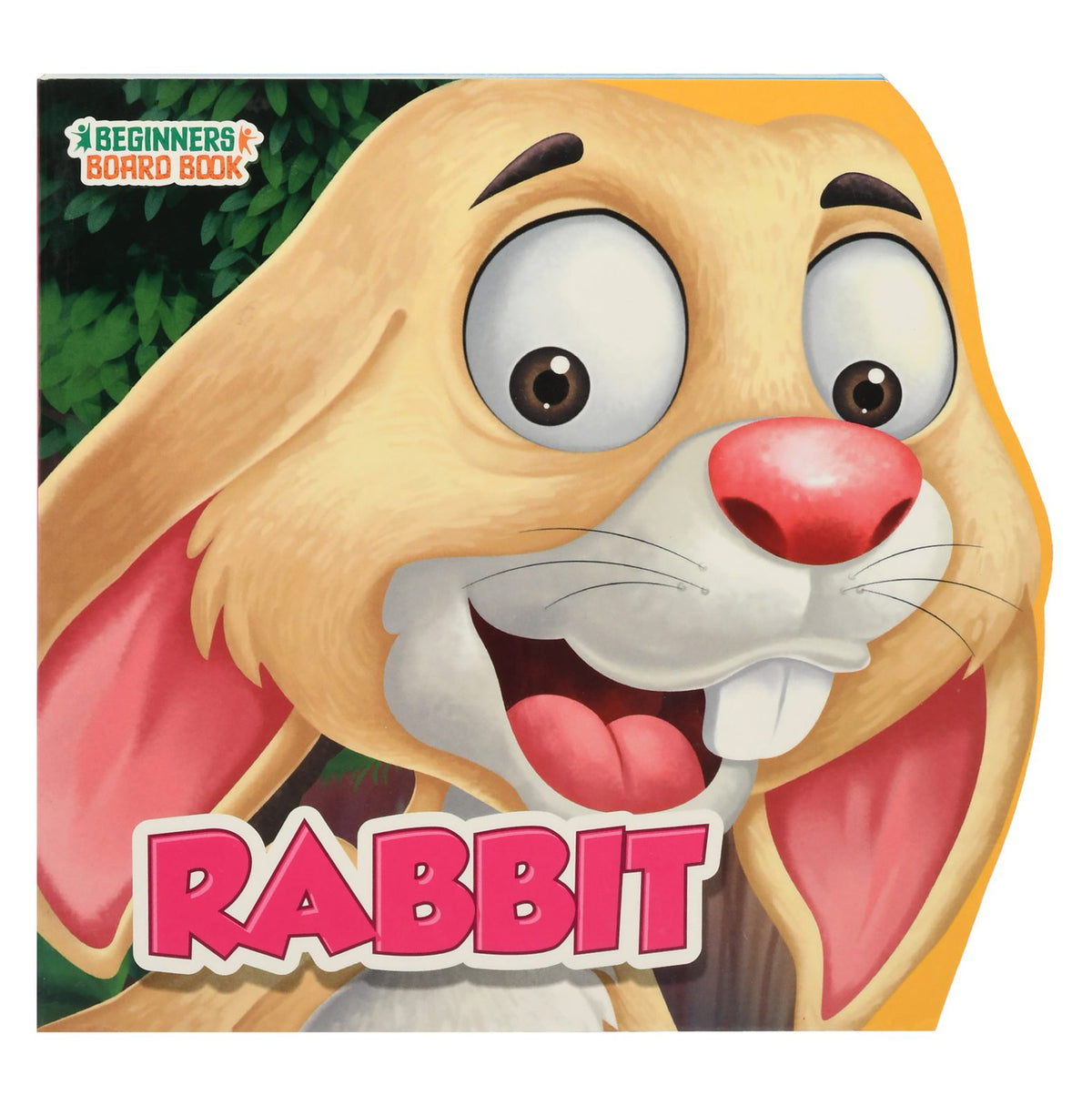 Rabbit – Children's Animal Book
